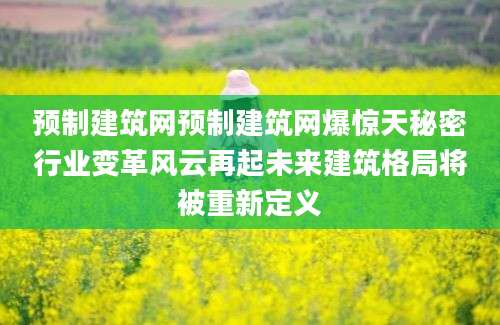 预制建筑网预制建筑网爆惊天秘密行业变革风云再起未来建筑格局将被重新定义