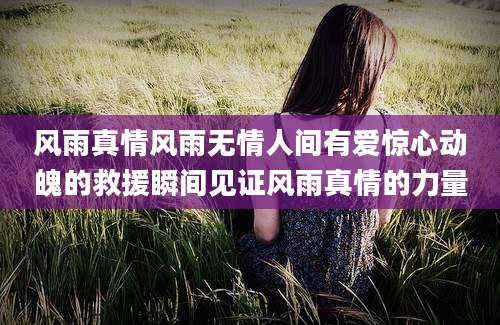 风雨真情风雨无情人间有爱惊心动魄的救援瞬间见证风雨真情的力量