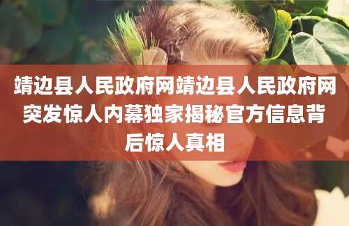 靖边县人民政府网靖边县人民政府网突发惊人内幕独家揭秘官方信息背后惊人真相