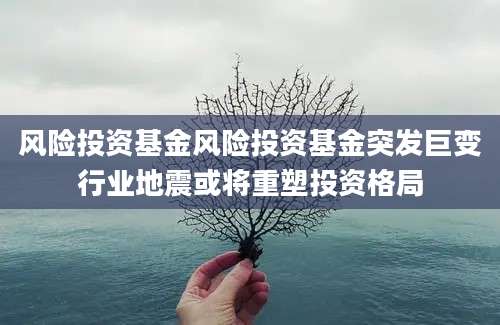 风险投资基金风险投资基金突发巨变行业地震或将重塑投资格局