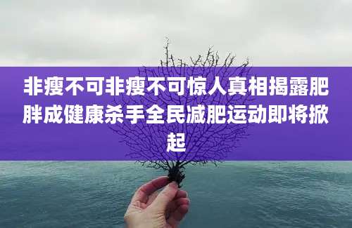 非瘦不可非瘦不可惊人真相揭露肥胖成健康杀手全民减肥运动即将掀起