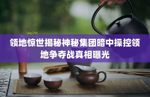 领地惊世揭秘神秘集团暗中操控领地争夺战真相曝光