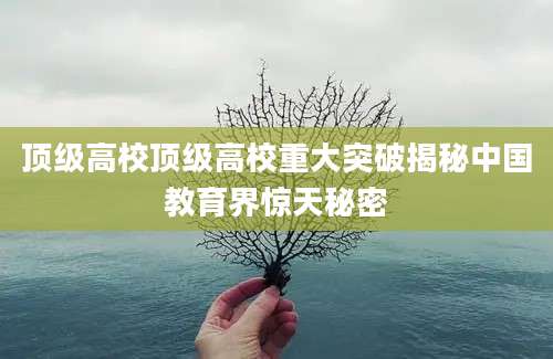 顶级高校顶级高校重大突破揭秘中国教育界惊天秘密
