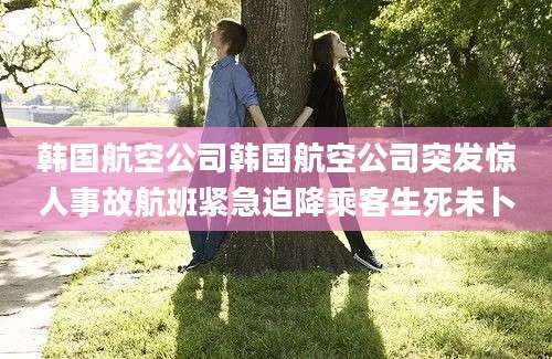 韩国航空公司韩国航空公司突发惊人事故航班紧急迫降乘客生死未卜