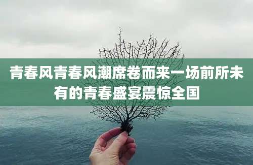 青春风青春风潮席卷而来一场前所未有的青春盛宴震惊全国
