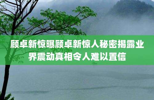 顾卓新惊曝顾卓新惊人秘密揭露业界震动真相令人难以置信