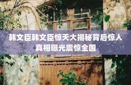 韩文臣韩文臣惊天大揭秘背后惊人真相曝光震惊全国