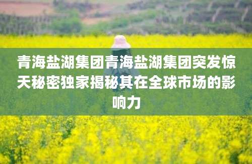 青海盐湖集团青海盐湖集团突发惊天秘密独家揭秘其在全球市场的影响力