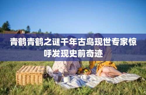 青鹤青鹤之谜千年古鸟现世专家惊呼发现史前奇迹