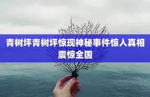 青树坪青树坪惊现神秘事件惊人真相震惊全国