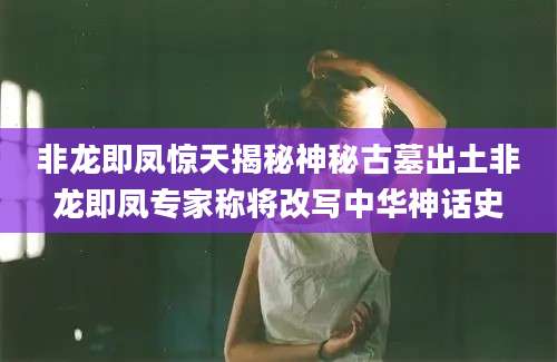 非龙即凤惊天揭秘神秘古墓出土非龙即凤专家称将改写中华神话史