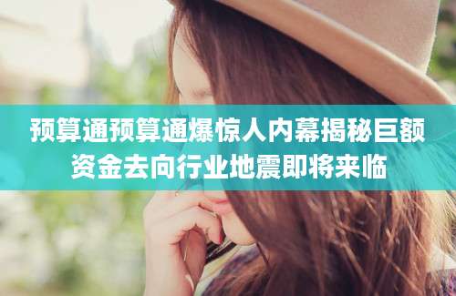预算通预算通爆惊人内幕揭秘巨额资金去向行业地震即将来临
