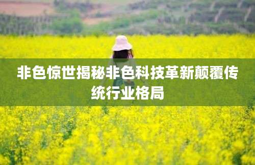 非色惊世揭秘非色科技革新颠覆传统行业格局