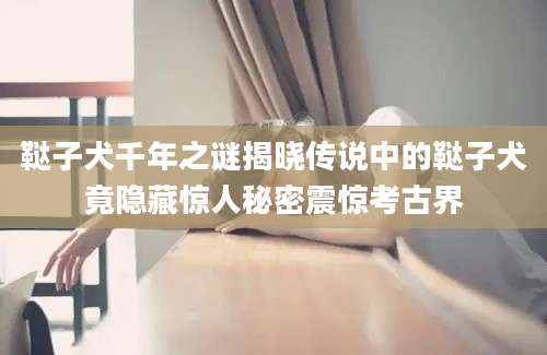 鞑子犬千年之谜揭晓传说中的鞑子犬竟隐藏惊人秘密震惊考古界