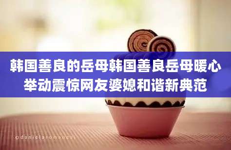 韩国善良的岳母韩国善良岳母暖心举动震惊网友婆媳和谐新典范