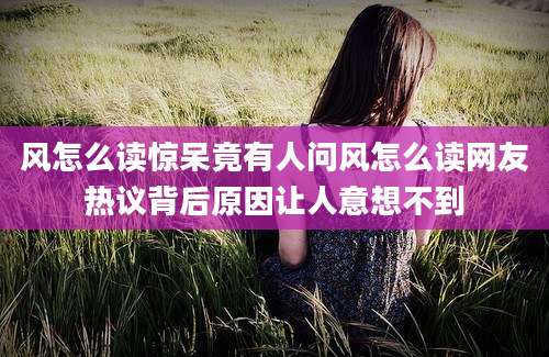 风怎么读惊呆竟有人问风怎么读网友热议背后原因让人意想不到