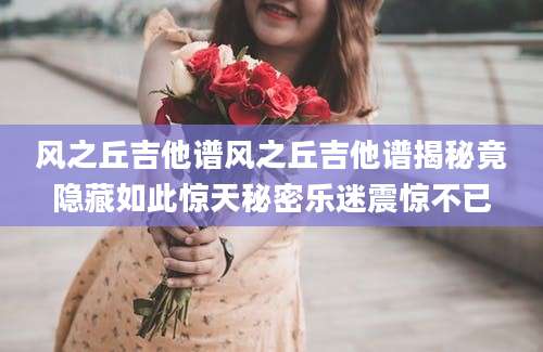 风之丘吉他谱风之丘吉他谱揭秘竟隐藏如此惊天秘密乐迷震惊不已