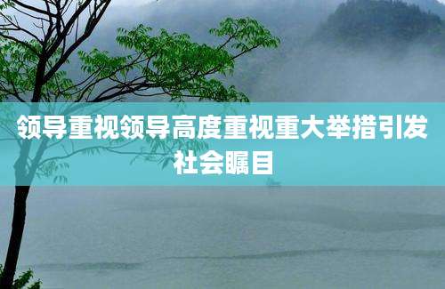 领导重视领导高度重视重大举措引发社会瞩目