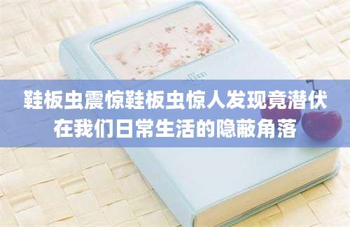 鞋板虫震惊鞋板虫惊人发现竟潜伏在我们日常生活的隐蔽角落