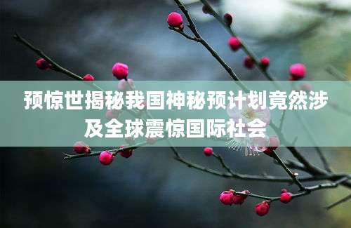 预惊世揭秘我国神秘预计划竟然涉及全球震惊国际社会