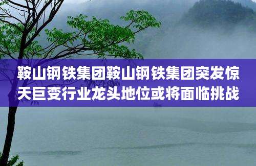 鞍山钢铁集团鞍山钢铁集团突发惊天巨变行业龙头地位或将面临挑战