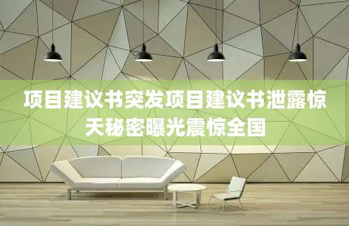 项目建议书突发项目建议书泄露惊天秘密曝光震惊全国