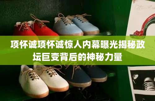 项怀诚项怀诚惊人内幕曝光揭秘政坛巨变背后的神秘力量
