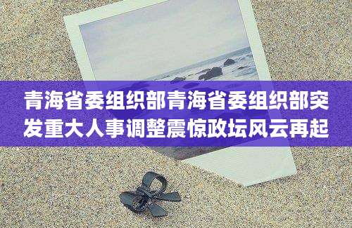 青海省委组织部青海省委组织部突发重大人事调整震惊政坛风云再起