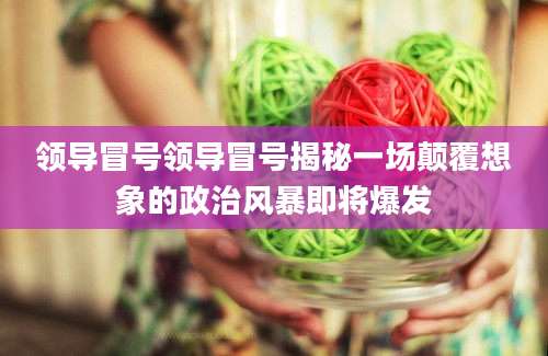 领导冒号领导冒号揭秘一场颠覆想象的政治风暴即将爆发
