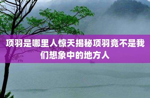 项羽是哪里人惊天揭秘项羽竟不是我们想象中的地方人