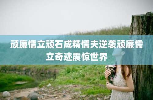 顽廉懦立顽石成精懦夫逆袭顽廉懦立奇迹震惊世界