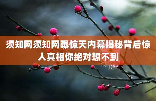 须知网须知网曝惊天内幕揭秘背后惊人真相你绝对想不到