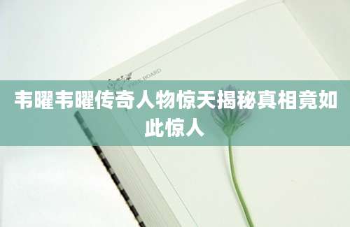 韦曜韦曜传奇人物惊天揭秘真相竟如此惊人
