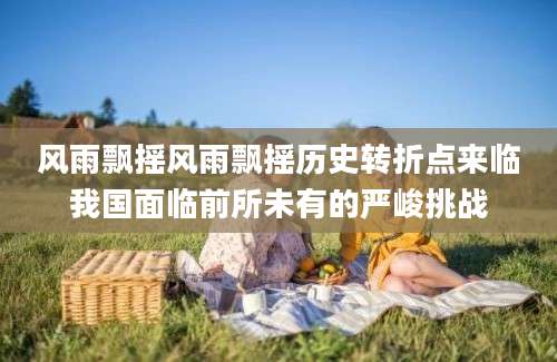 风雨飘摇风雨飘摇历史转折点来临我国面临前所未有的严峻挑战