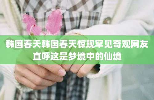 韩国春天韩国春天惊现罕见奇观网友直呼这是梦境中的仙境