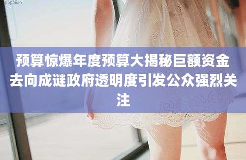 预算惊爆年度预算大揭秘巨额资金去向成谜政府透明度引发公众强烈关注