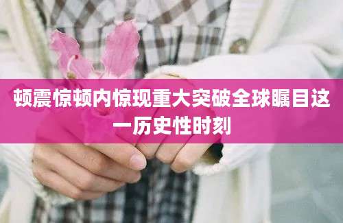 顿震惊顿内惊现重大突破全球瞩目这一历史性时刻