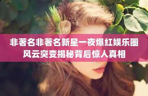 非著名非著名新星一夜爆红娱乐圈风云突变揭秘背后惊人真相