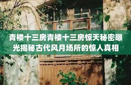 青楼十三房青楼十三房惊天秘密曝光揭秘古代风月场所的惊人真相