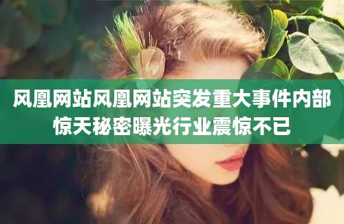 风凰网站风凰网站突发重大事件内部惊天秘密曝光行业震惊不已