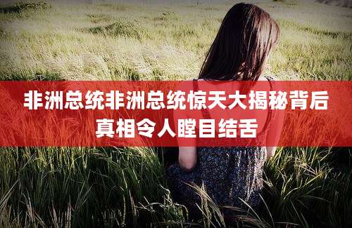 非洲总统非洲总统惊天大揭秘背后真相令人瞠目结舌
