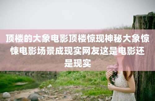 顶楼的大象电影顶楼惊现神秘大象惊悚电影场景成现实网友这是电影还是现实
