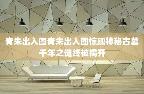 青朱出入图青朱出入图惊现神秘古墓千年之谜终被揭开