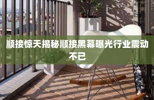 顺接惊天揭秘顺接黑幕曝光行业震动不已