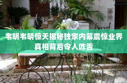 韦明韦明惊天揭秘独家内幕震惊业界真相背后令人咋舌