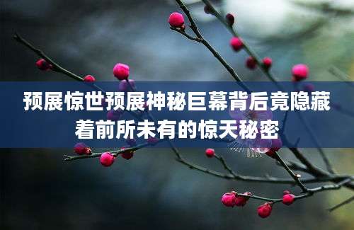 预展惊世预展神秘巨幕背后竟隐藏着前所未有的惊天秘密