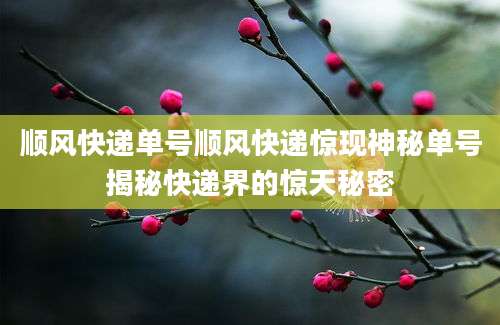 顺风快递单号顺风快递惊现神秘单号揭秘快递界的惊天秘密