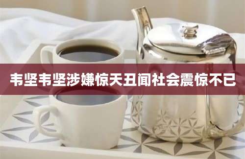 韦坚韦坚涉嫌惊天丑闻社会震惊不已