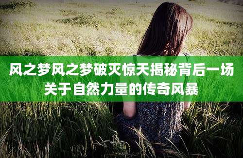 风之梦风之梦破灭惊天揭秘背后一场关于自然力量的传奇风暴