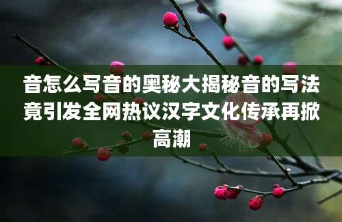 音怎么写音的奥秘大揭秘音的写法竟引发全网热议汉字文化传承再掀高潮